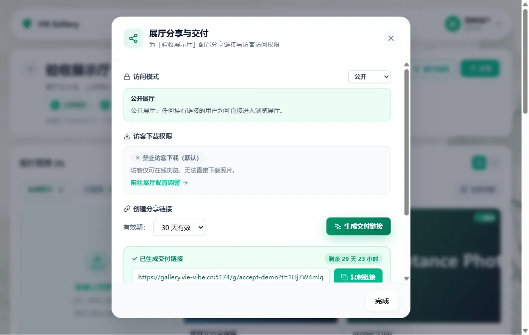 VIE Gallery 的展厅分享与交付配置界面,可设置访问模式、下载权限与有效期
